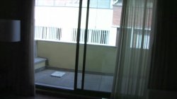 'Street Suckers Vol. 1' screenshot nº 6