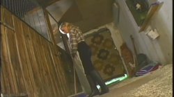 'Big Uns - Mammoth Mamms 5' screenshot nº 87
