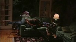'Bud Lee's Sex Fest 8' screenshot nº 3
