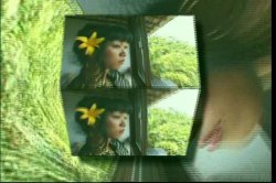 'She Male Samba Mania 3' screenshot nº 90