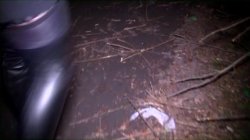 Captura de 'On a Dogging Mission 29' nº 4