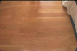 'Naomi's Fuck Me' screenshot nº 91
