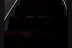 'New Breed 8' screenshot nº 114