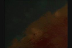 Captura de 'Taste of Savanna, A' nº 128