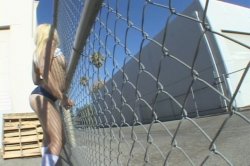 'Massive Asses 2' screenshot nº 45
