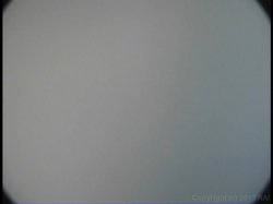 'Goo Girls 23' screenshot nº 69