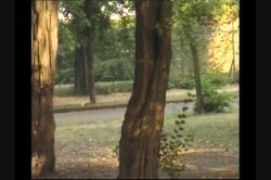 'Real Lesbian Amateurs' screenshot nº 52