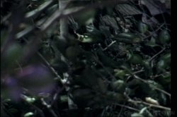Captura de 'Booty Bang 1' nº 7