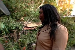 Captura de 'Horny Black Mothers 4' nº 35