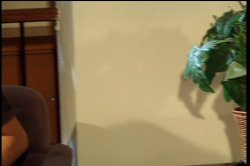 'Black Bad Girls 6' screenshot nº 94