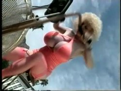 'Greatest Big Bust Video Ever, The' screenshot nº 87