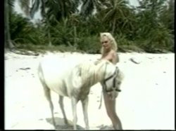 'Greatest Big Bust Video Ever, The' screenshot nº 138