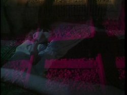 Captura de 'Candida Royalle's Sensual Escape' nº 102