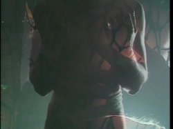Captura de 'Candida Royalle's Sensual Escape' nº 105