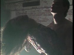 Captura de 'Candida Royalle's Sensual Escape' nº 110