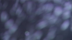 Captura de 'Flesh and Fantasy' nº 4