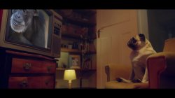 Captura de 'Light You Up' nº 1