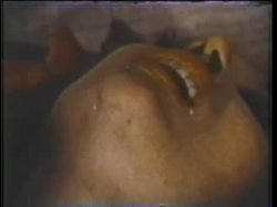 Captura de 'Peepshow Loops 630: '70s and '80s (All Color)' nº 102