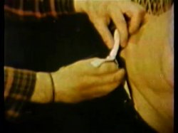 Captura de 'Peepshow Loops 77: '70s & '80s (All Color)' nº 40