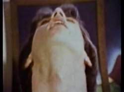 Captura de 'Peepshow Loops 77: '70s & '80s (All Color)' nº 56