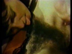 Captura de 'Peepshow Loops 77: '70s & '80s (All Color)' nº 70