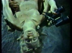 Captura de 'Peepshow Loops 77: '70s & '80s (All Color)' nº 80
