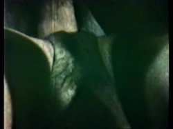 Captura de 'Peepshow Loops 77: '70s & '80s (All Color)' nº 83