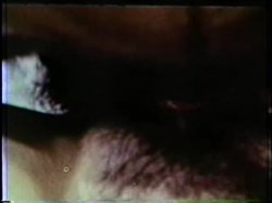 Captura de 'Peepshow Loops 77: '70s & '80s (All Color)' nº 111