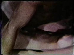 Captura de 'Peepshow Loops 77: '70s & '80s (All Color)' nº 112