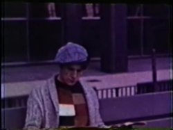 Captura de 'Peepshow Loops 77: '70s & '80s (All Color)' nº 113