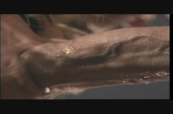 'Deep Inside Jill Kelly' screenshot nº 31