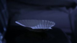 Captura de 'Faces Of Alice, The' nº 42
