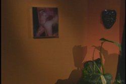 Captura de 'No Man's Land 19' nº 9
