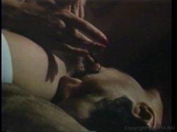 Captura de 'Swedish Erotica Vol. 81' nº 91