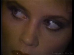 Captura de 'Swedish Erotica Vol. 81' nº 2