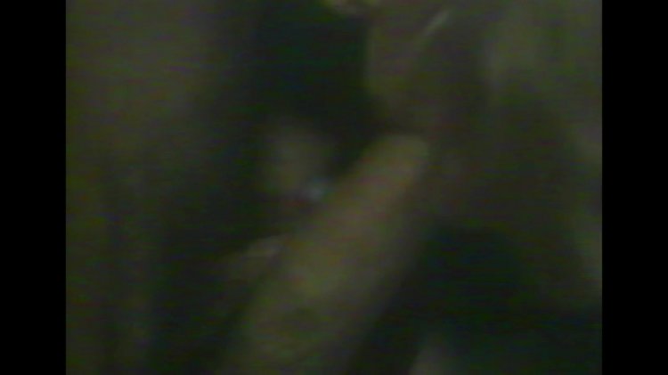 streaming porn video screenshot