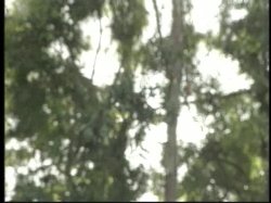 'Erotica For Two' screenshot nº 93