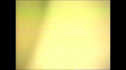 'Big Bust Babes Volume 9' screenshot nº 52
