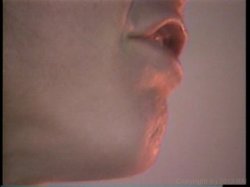 Captura de 'Swedish Erotica Vol. 75' nº 27