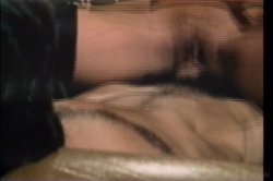 Captura de 'Swedish Erotica Vol. 78' nº 60