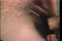 Captura de 'Swedish Erotica Vol. 78' nº 67