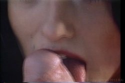 Captura de 'Swedish Erotica Vol. 78' nº 80