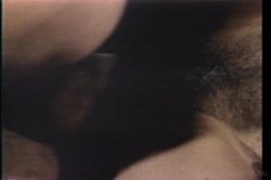 Captura de 'Swedish Erotica Vol. 78' nº 24