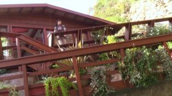Captura de 'Who's Nailin' Palin 2' nº 6