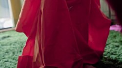 Captura de 'Family Pies Vol. 8' nº 62