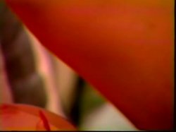 'Blue Angel Part 2' screenshot nº 105