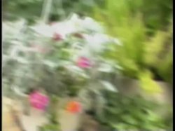 'Perversions Number 5' screenshot nº 100