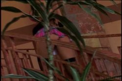 Captura de 'Ass Watcher 5' nº 3