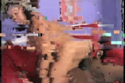 Captura de 'Blacks On Cougars' nº 136