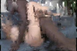 Captura de 'Blacks On Cougars' nº 20